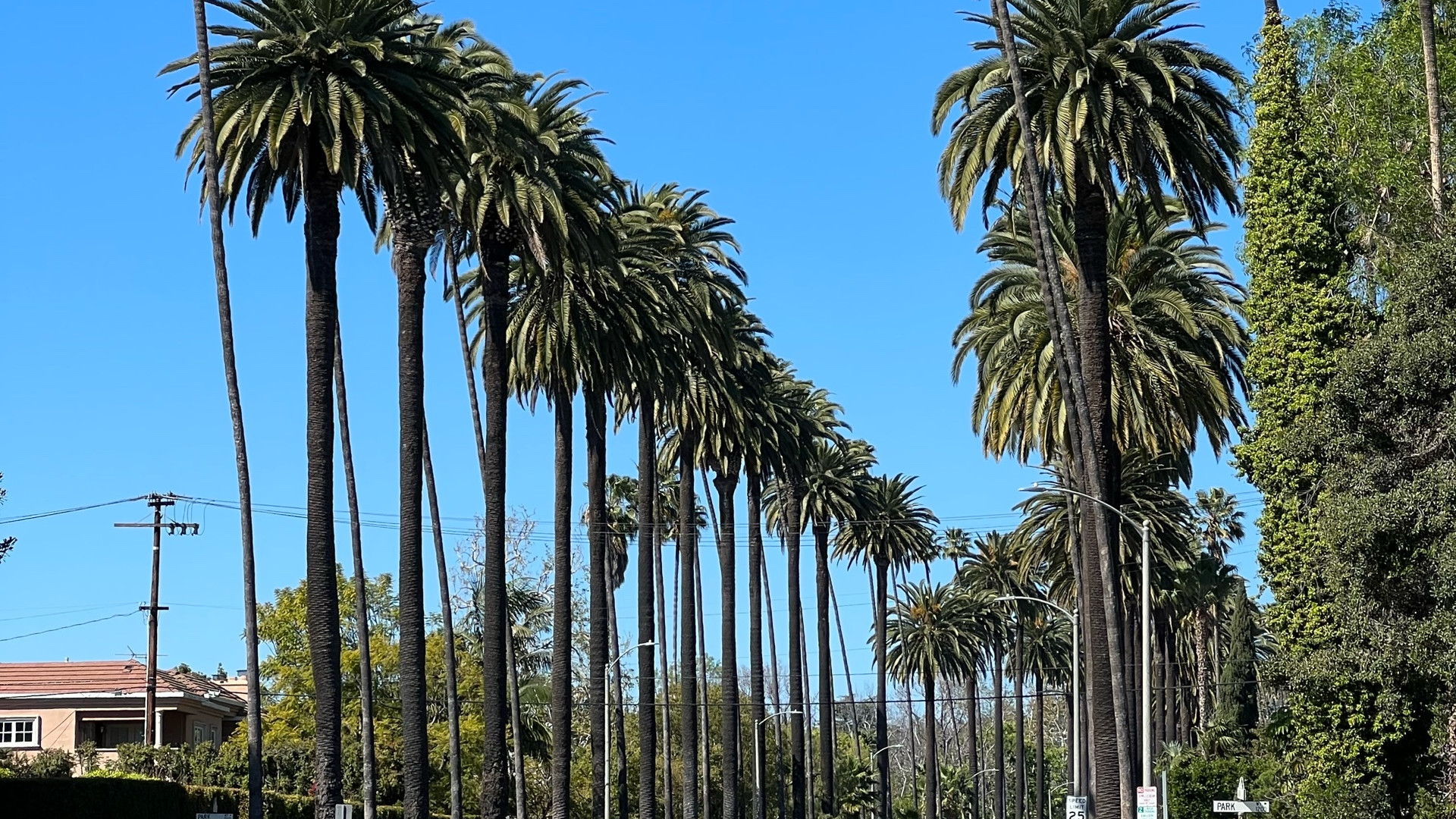 Grand Reception Los Angeles